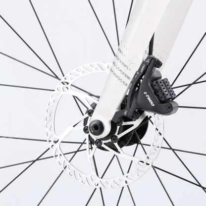 XDS AD300  20sp //  Road Bike